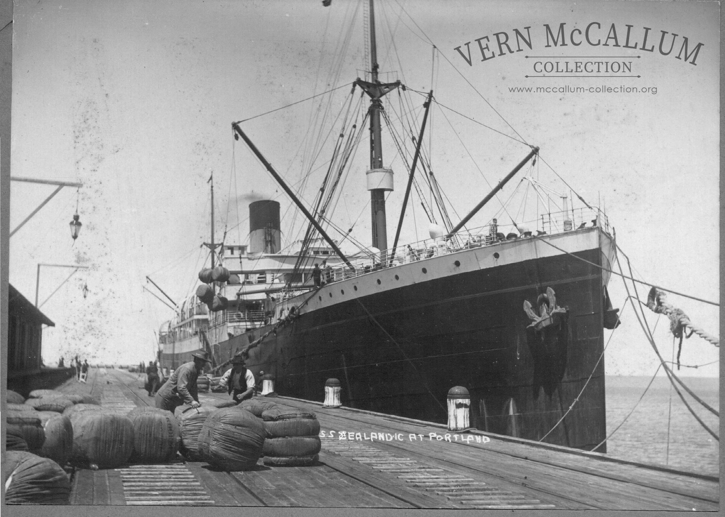 S.S. "Zealandic" at Portland.