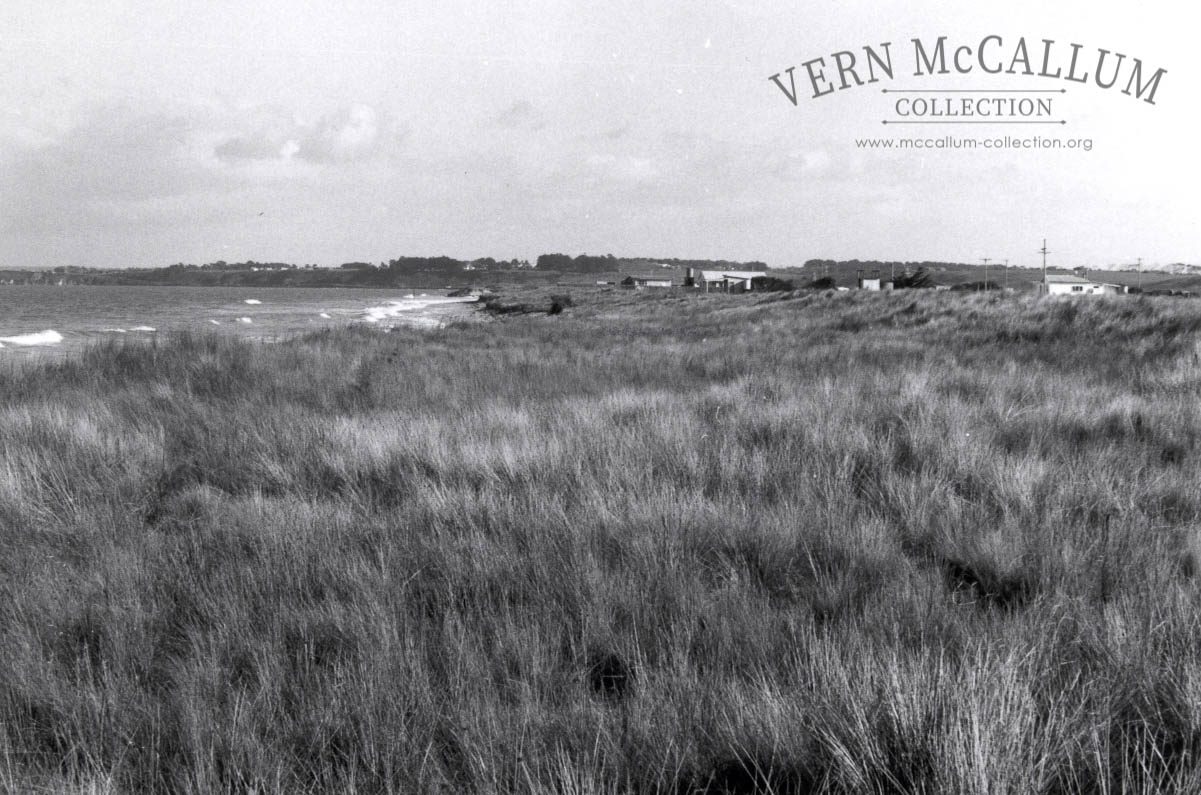 Henty bay estate 30/6/1976. Note the large area of marrum grass in front of the houses.
