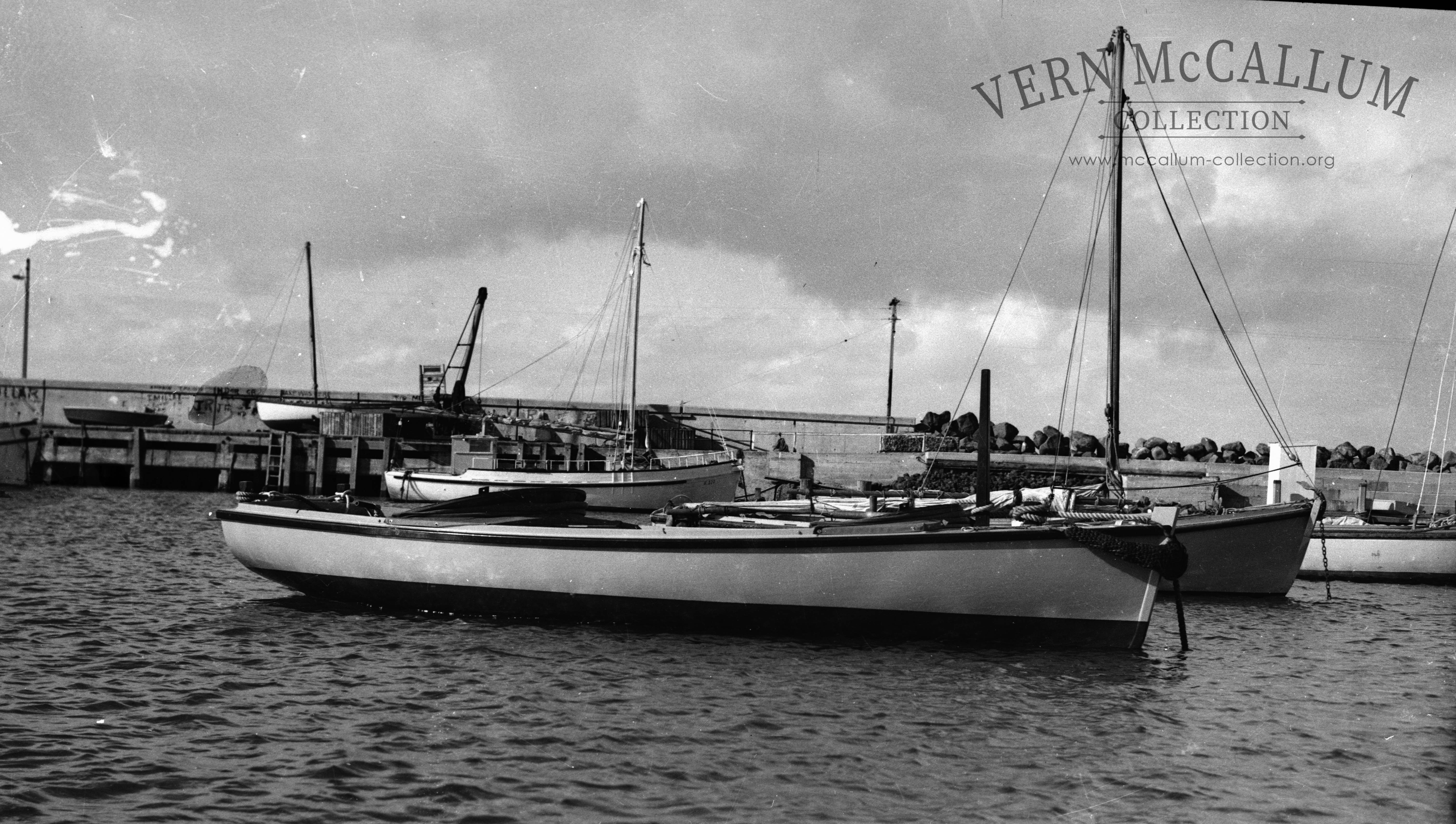Fishing boats in the harbour.