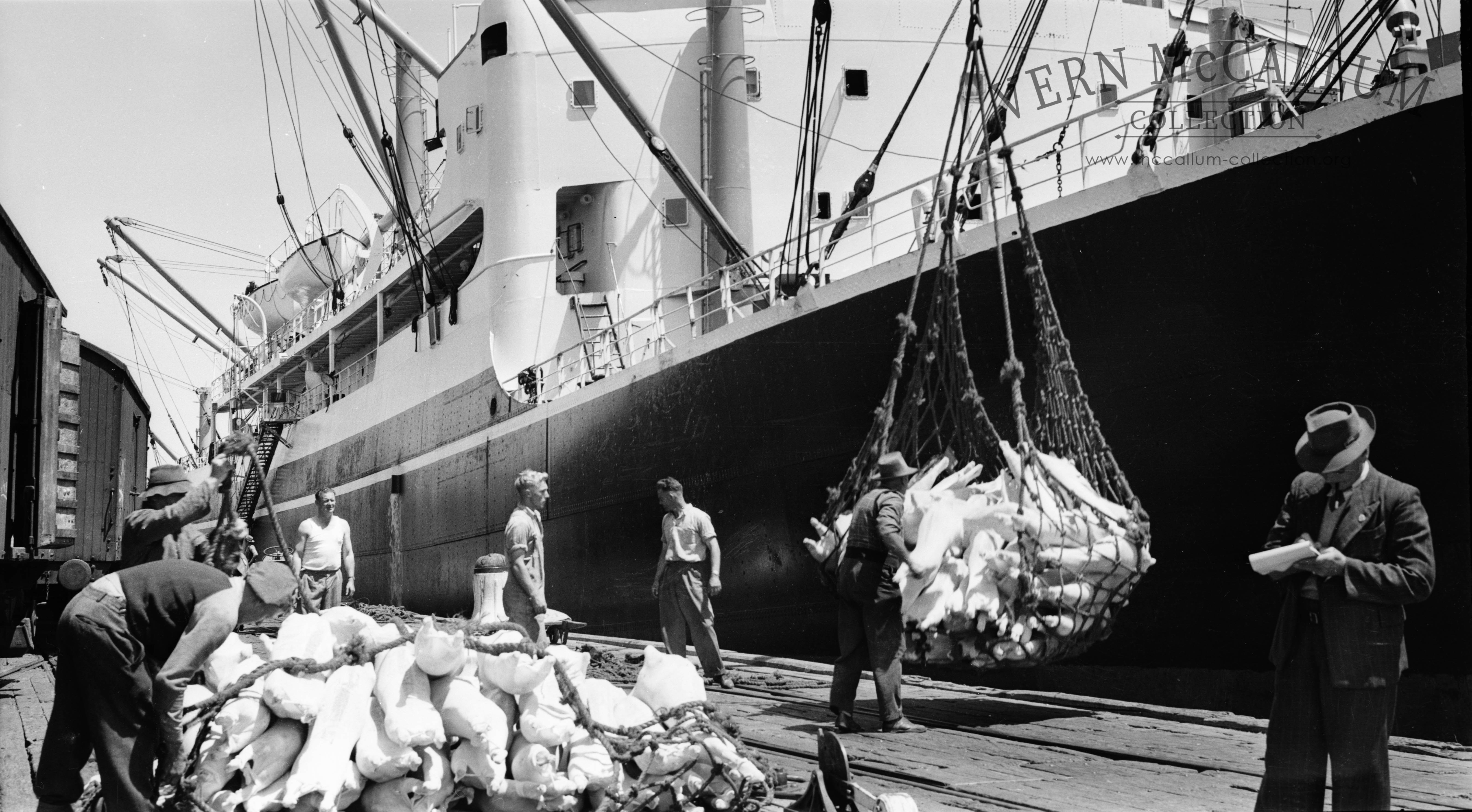 Exporting frozen mutton at the port.