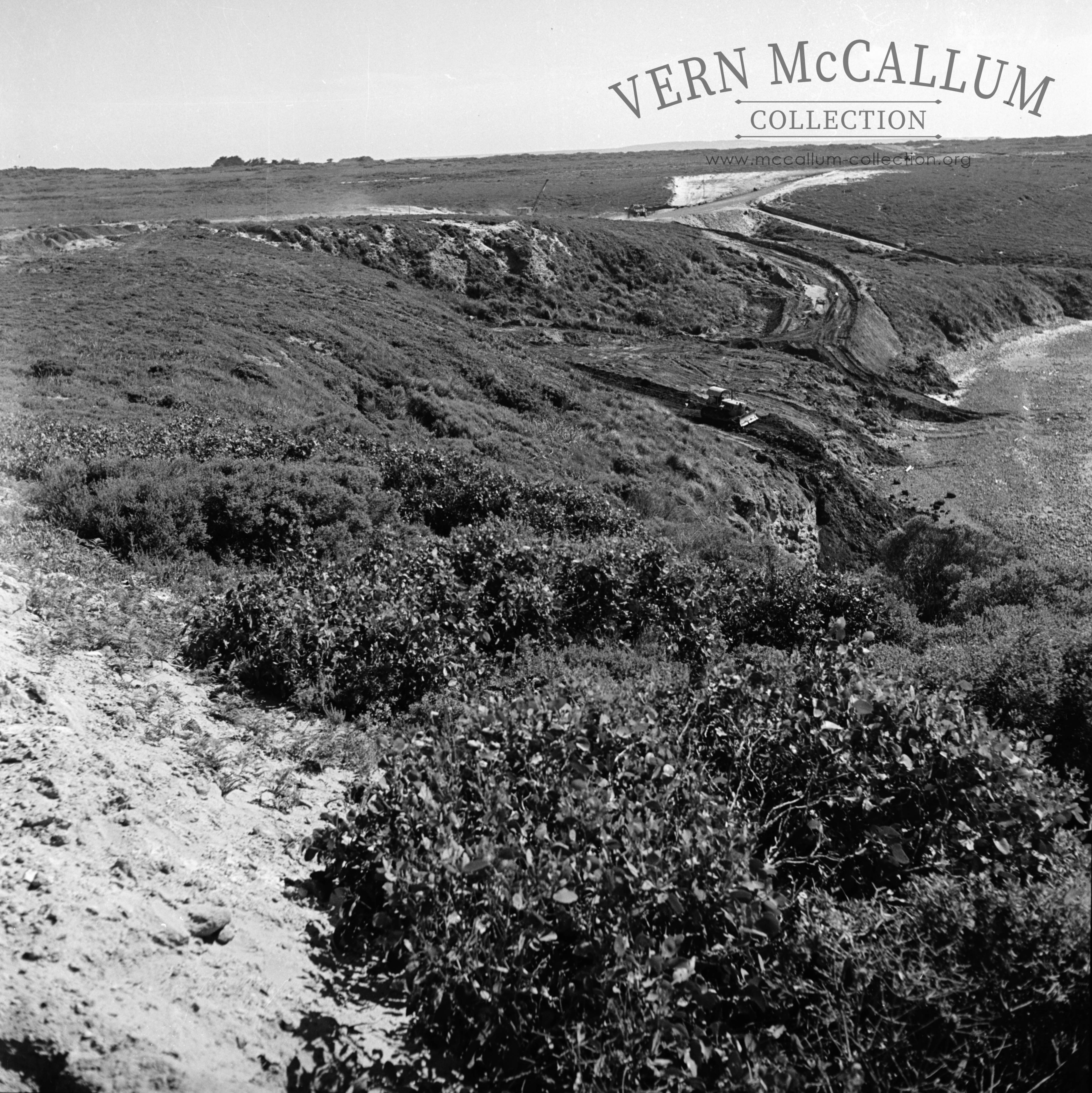 The cutting near the Cape Grant quarry.