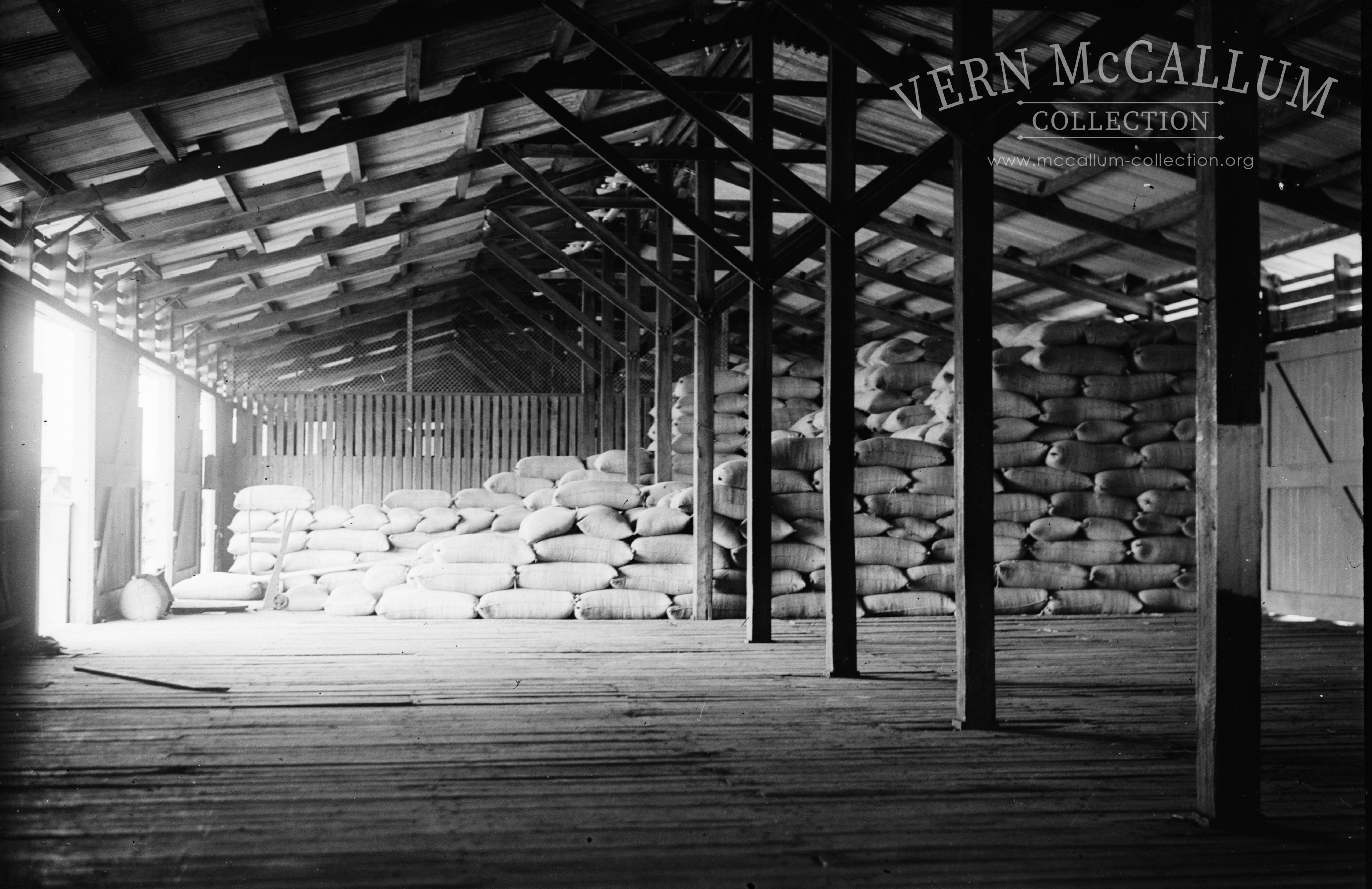 Bagged wheat inthe Ocean pier shed.