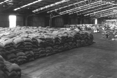 Trade bagged flour and rice laoding from the ocean pier
photo courtesy of Geoff Blackman