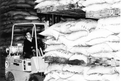 Trade bagged flour and rice laoding from the ocean pier
photo courtesy of Geoff Blackman