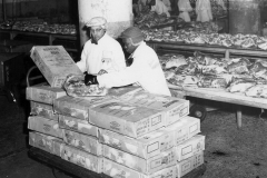 Trade   frozen  boneless beef from down underbbeing recieved and checked at the Schwarts & Company plant Chicago,Illinois,USA
photo courtesy of Geoff Blackman