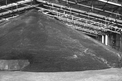 inside the silo  at The Port Of Portland 1962
photo courtesy of Geoff Blackman