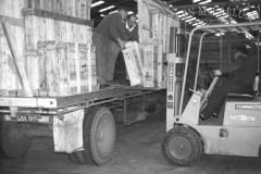 Timber products at the Portland wharf  photo courtesy of Geoff Blackman