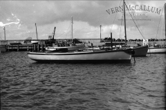 The couta boats and the fishermans breakwater.