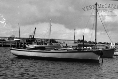 Fishing boats in the harbour.