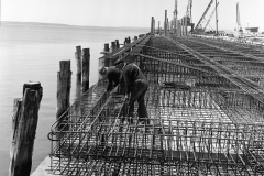 Setting up the reinforceing ready for the concrete for the K S Anderson warf.