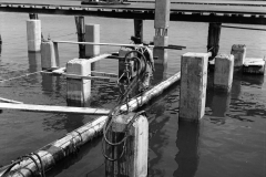 Note the pile right of the worker has been spliced ready to be boxed and poured to join the two together ready for driving deeper into the sea floor.