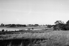 The railway line at the back of the swamp prior to the road being constructed.