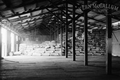 Bagged wheat inthe Ocean pier shed.