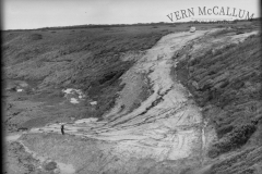The road to pebbly beach.