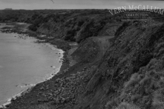 Blacknose quarry.