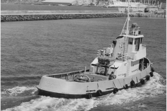 TUG BOAT “TREWALLA” IN PORTLAND HARBOUR.
On the deck are Graham Sherwell, Bill Fellows and Alan Geraldine.